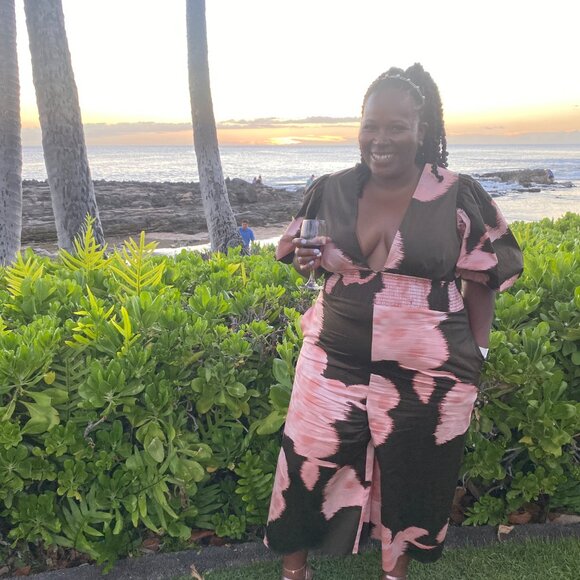 Anthropologie Hutch V-Neck Jumpsuit - Picture 3 of 3